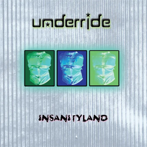 Insanityland cover